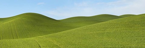 Framed Farmscape Panorama VII Print