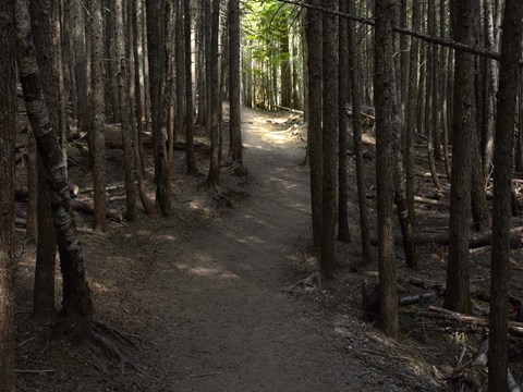 Framed Country Road Photo VI Print
