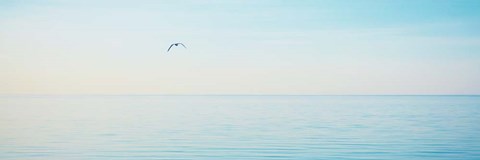 Framed Beachscape Panorama XII Print