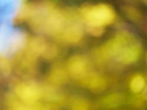 Framed Soft Landscape VI Print