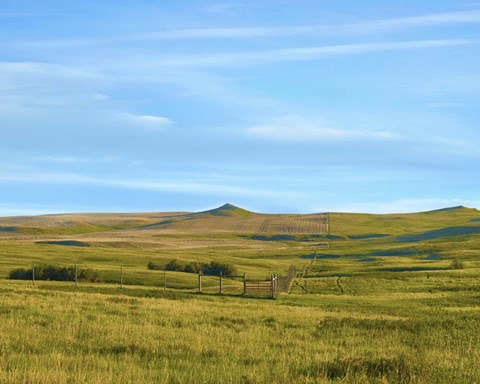 Framed Western Landscape Photo III Print