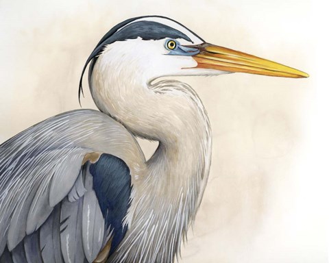 Framed Blue Hunter II Print