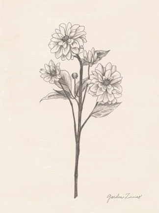 Framed Garden Zinnias I Print