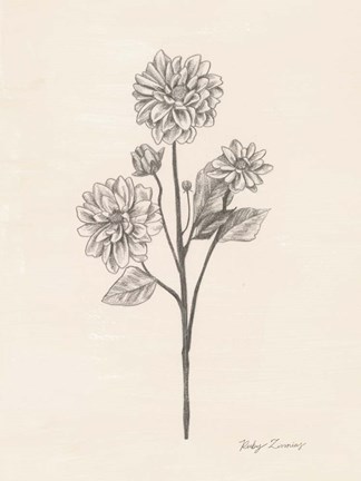 Framed Garden Zinnias II Print