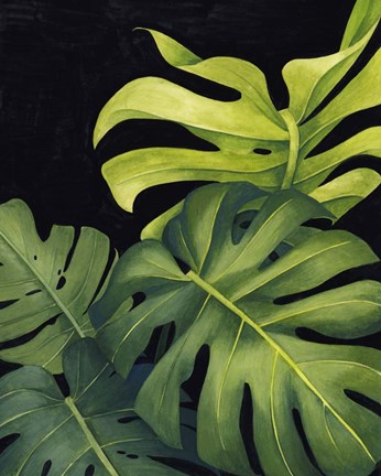 Framed Night Monsteras I Print