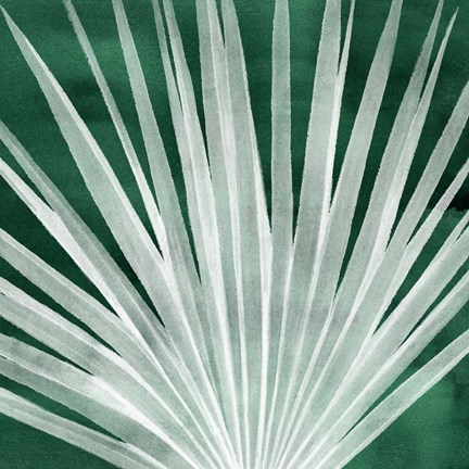 Framed Velvet Palm I Print