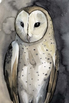 Framed Moon Glider II Print