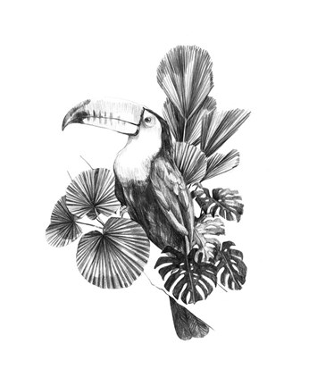 Framed Toucan Toile I Print