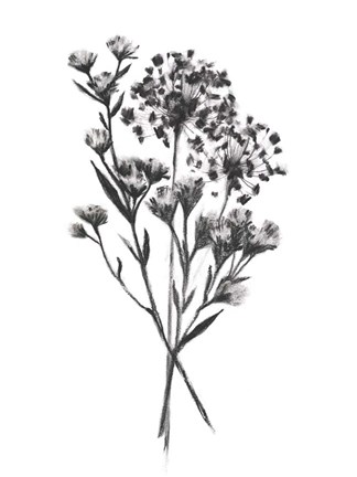 Framed Wild Roadside Bouquet II Print