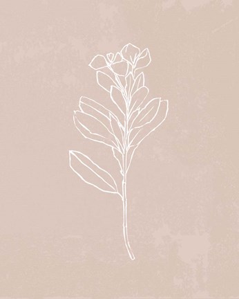 Framed Blush Bloom I Print