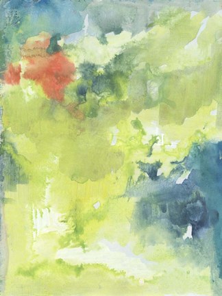 Framed Flowering II Print