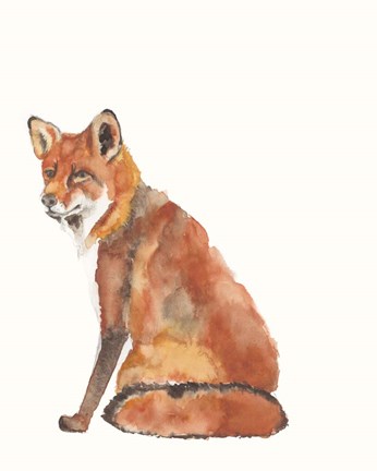 Framed Sly Fox II Print
