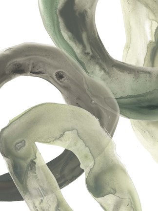 Framed Concentric Lichen VI Print