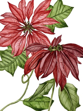 Framed Merry Blossom III Print