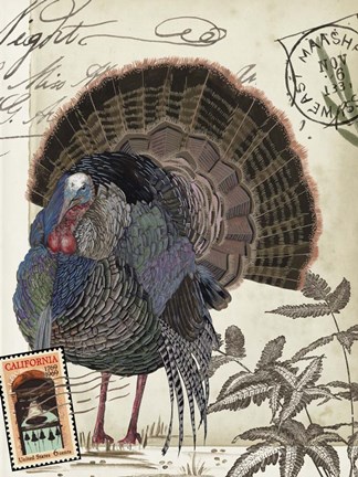 Framed Autumn Palette I Print