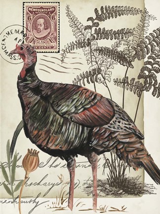 Framed Autumn Palette IV Print