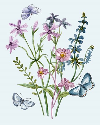 Framed Wildflowers Arrangements IV Print