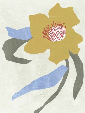 Framed Lenten Rose II Print