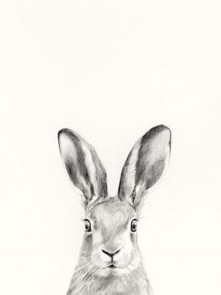 Framed Animal Mug I Print