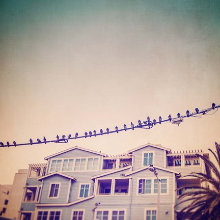 Framed Birds on Wires I Print