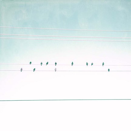 Framed Birds on Wires IV Print