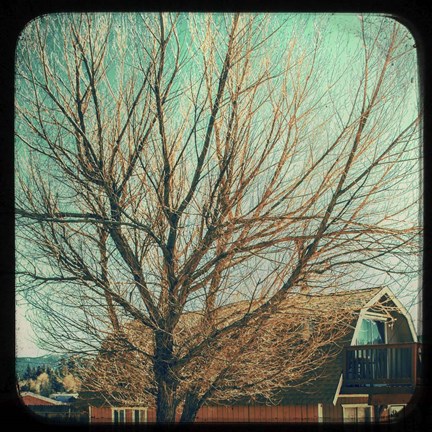 Framed Frames of Travel III Print