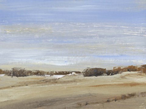 Framed Soft Afternoon III Print