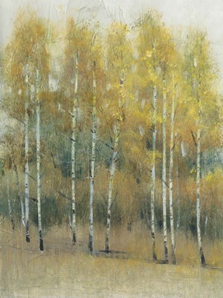 Framed Woodland Edge III Print