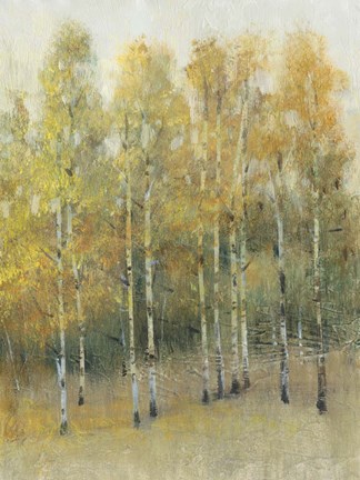 Framed Woodland Edge IV Print