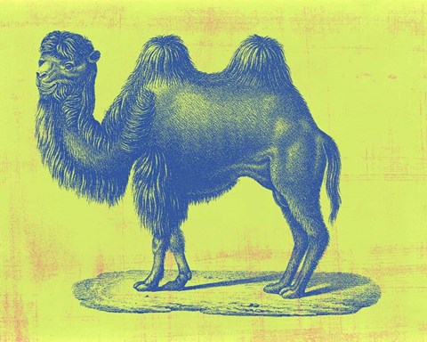 Framed Safari Pop IV Print