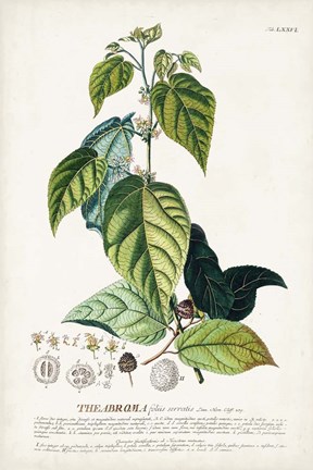 Framed Alluring Botamical VIII Print