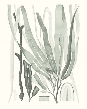 Framed Sage Green Seaweed II Print