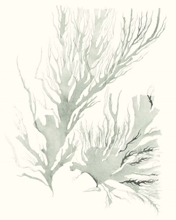 Framed Sage Green Seaweed IV Print