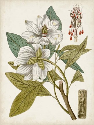 Framed Vintage Charm I Print