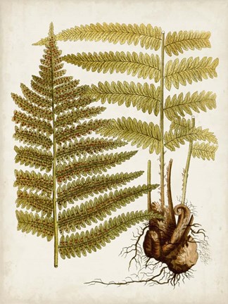 Framed Vintage Charm IX Print