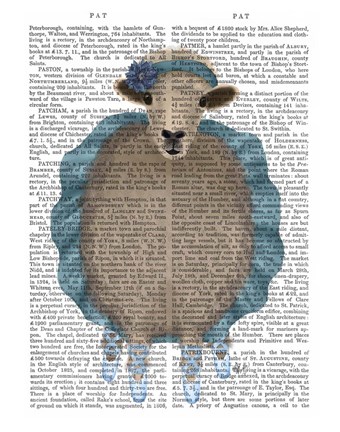 Framed Ballet Sheep 3 Book Print Print