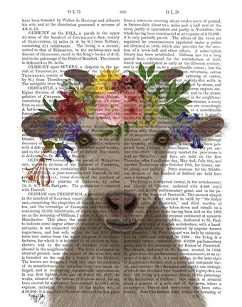 Framed Goat Bohemian 1 Book Print Print