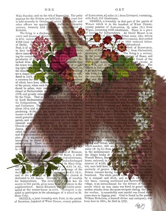 Framed Donkey Bohemian 5 Book Print Print
