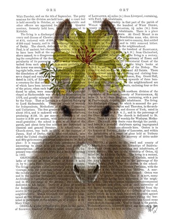 Framed Donkey Sunflower Book Print Print