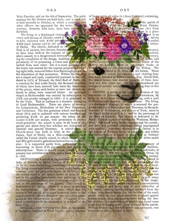 Framed Llama Bohemian 2 Book Print Print