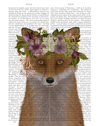 Framed Fox Bohemian Book Print Print