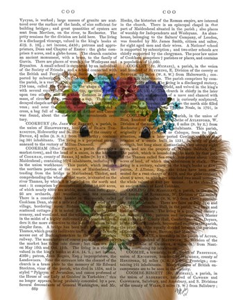Framed Squirrel Bohemian Book Print Print