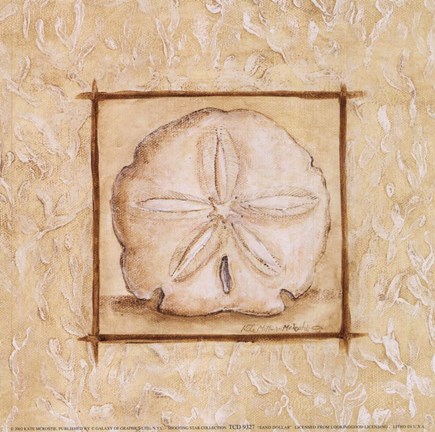 Framed Sand Dollar Print