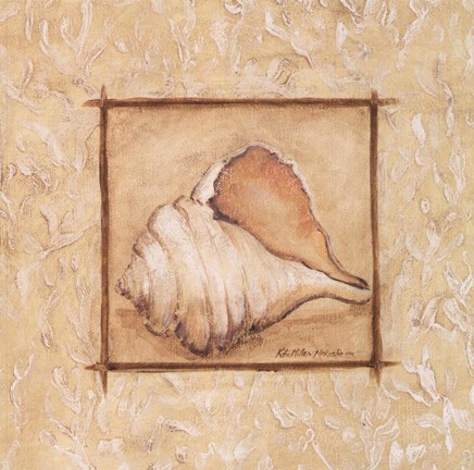 Framed Conch Print