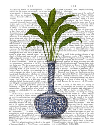 Framed Chinoiserie Vase 3, With Plant Book Print Print