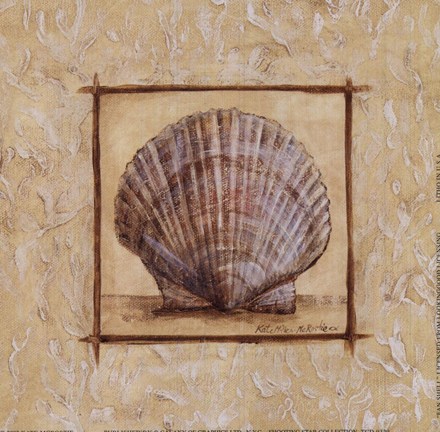Framed Fan Shell Print