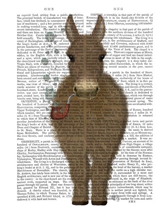 Framed Donkey Bubble Pipe, Full Book Print Print