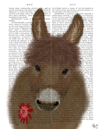 Framed Donkey Red Flower Book Print Print