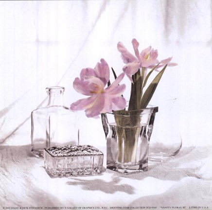 Framed Vanity Floral II Print