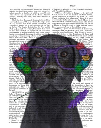 Framed Black Labrador and Flower Glasses Book Print Print